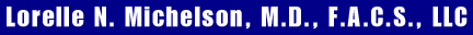 Lorelle N. Michelson M.D.